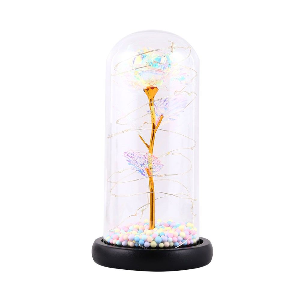 Color String Light Glass Cover Gold Foil Rose Flower Home