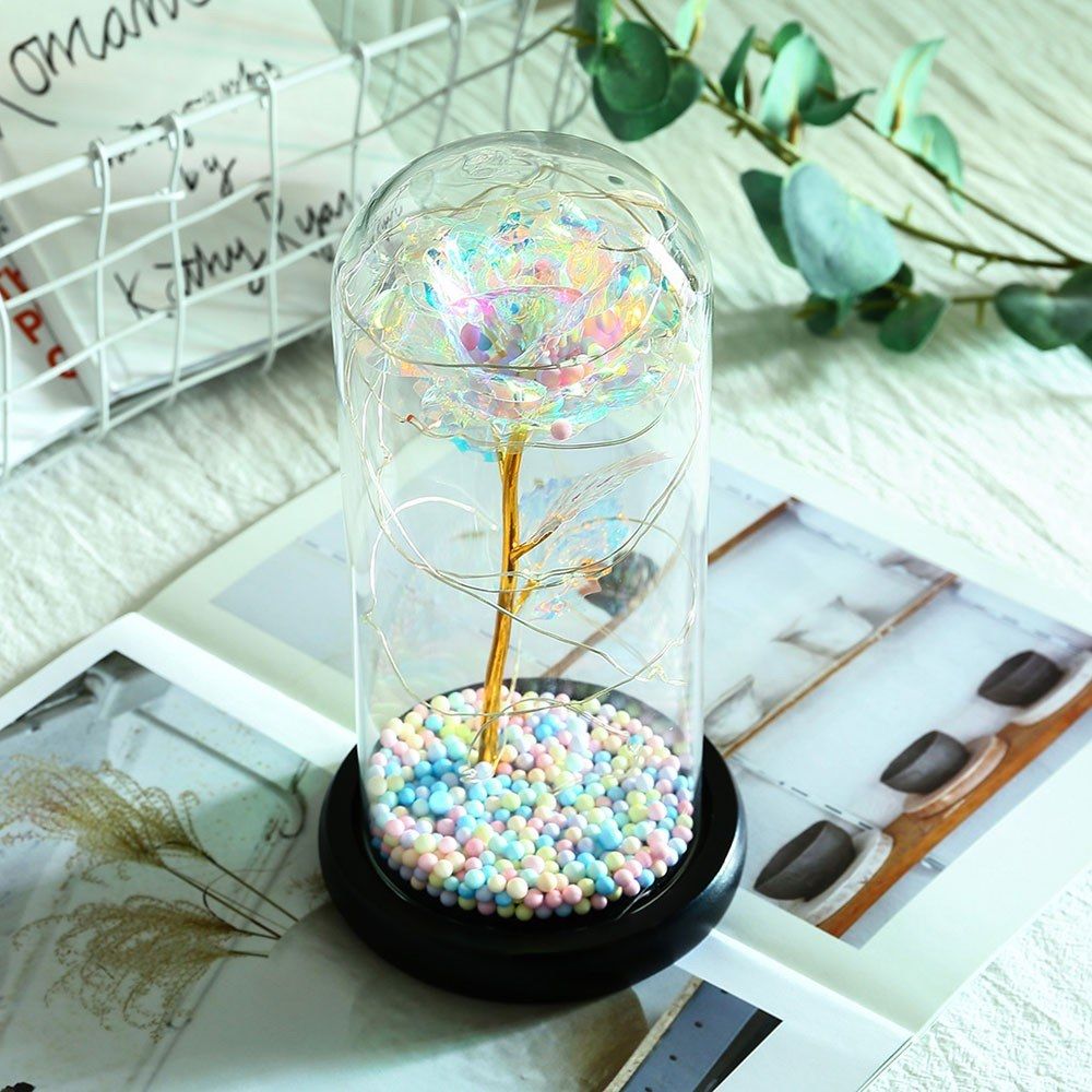 Color String Light Glass Cover Gold Foil Rose Flower Home