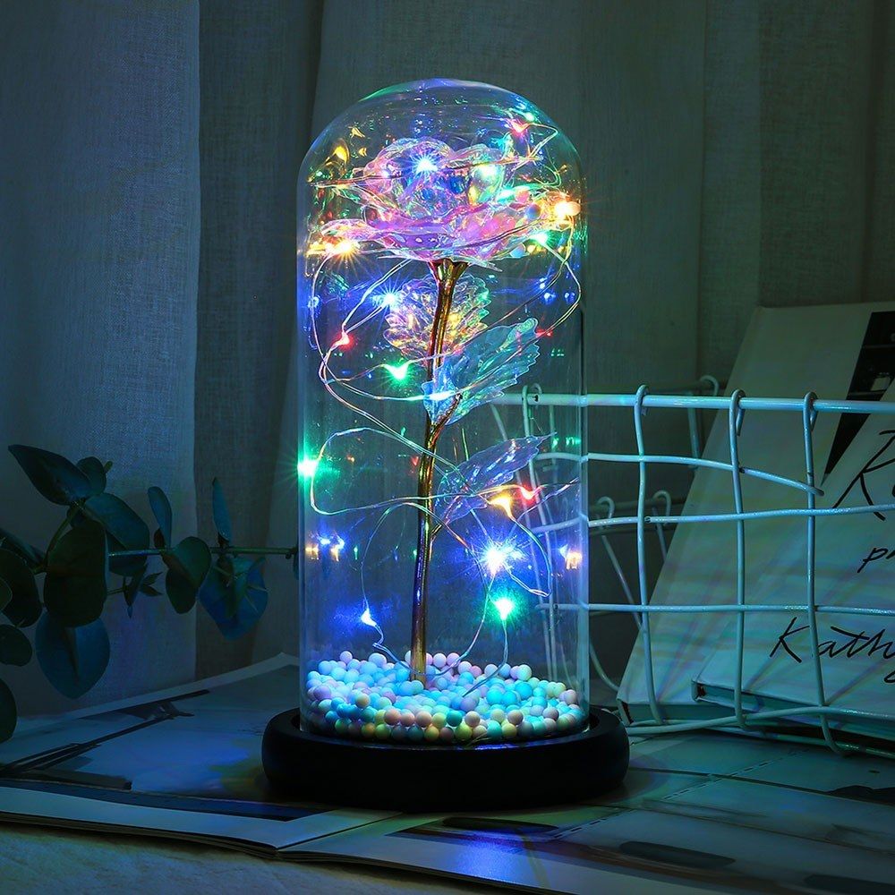 Color String Light Glass Cover Gold Foil Rose Flower Home