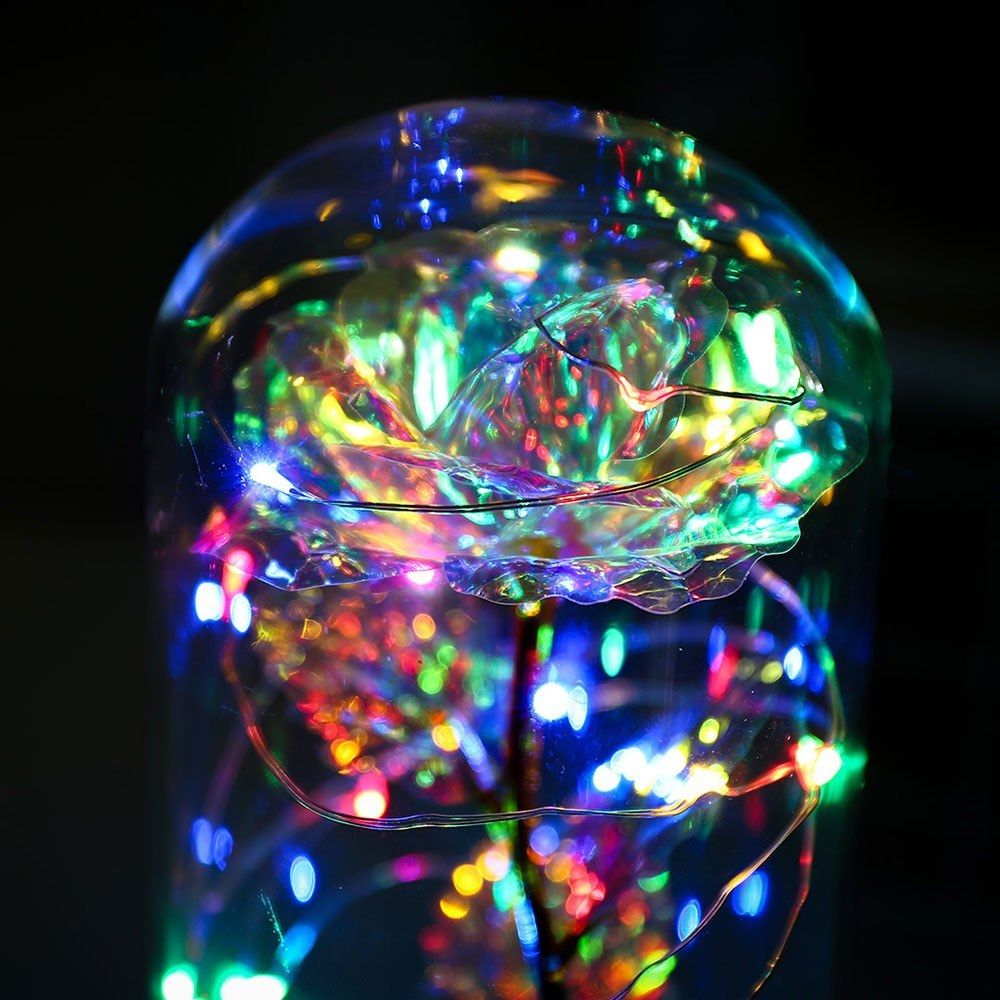 Color String Light Glass Cover Gold Foil Rose Flower Home