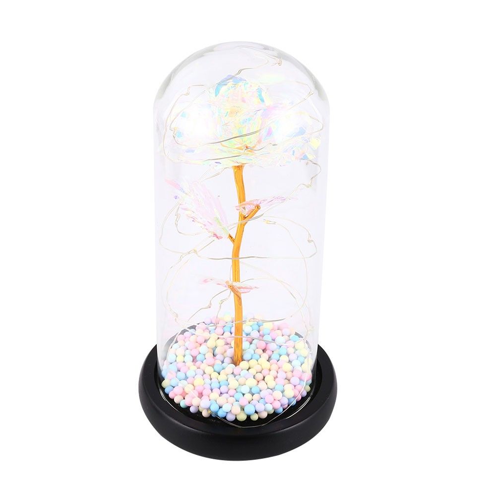Color String Light Glass Cover Gold Foil Rose Flower Home