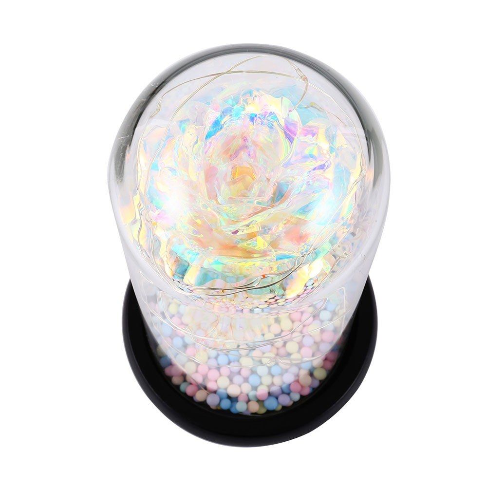 Color String Light Glass Cover Gold Foil Rose Flower Home