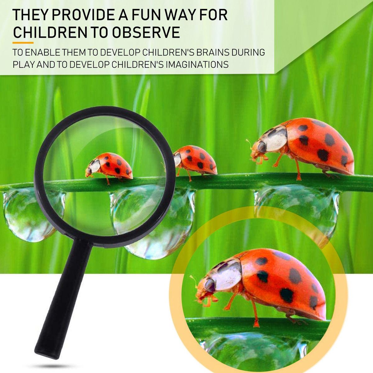 Kids Magnifying Glass 8 Pcs Plastic Handheld Mini Portable Magnifying Glass Small Children Magnifier Toys for Explorer