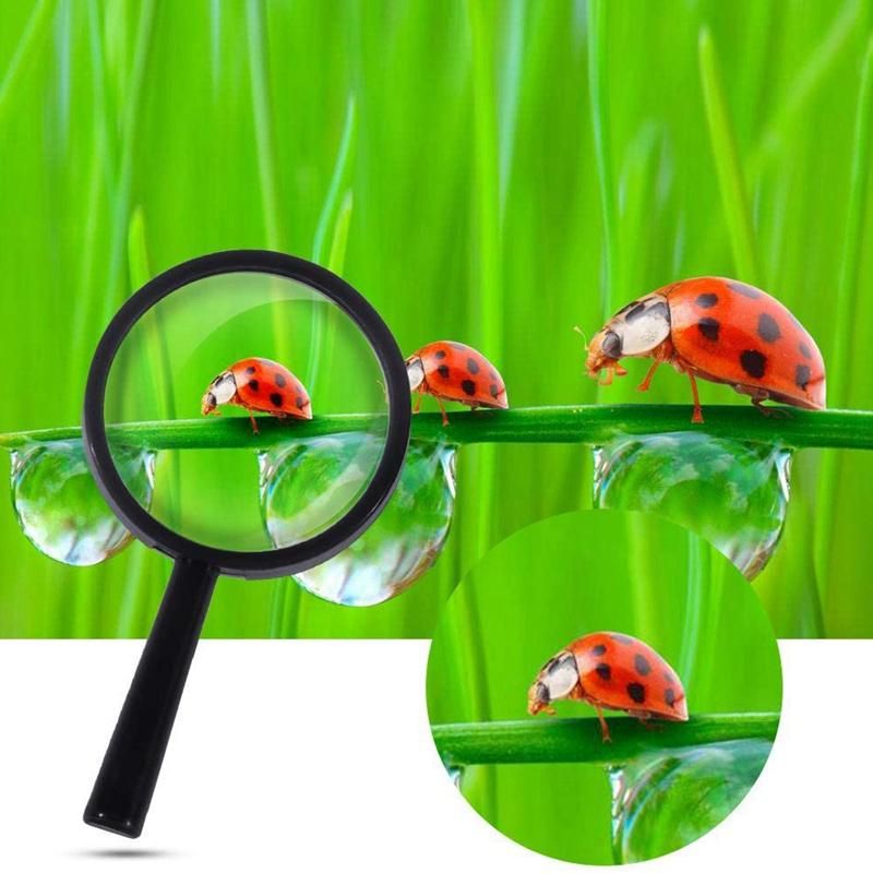 Kids Magnifying Glass 8 Pcs Plastic Handheld Mini Portable Magnifying Glass Small Children Magnifier Toys for Explorer