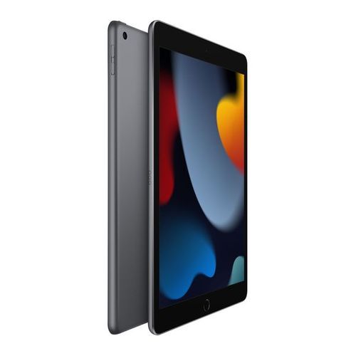 iPad 9th Gen 2021 10.2" Wi-Fi Only 256GB - Space Grey
