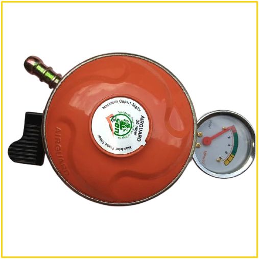 Metered Gas Regulator And Leak Detector For Gas Cylinders