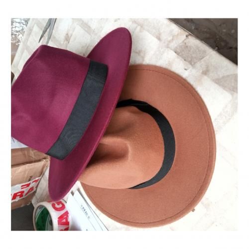 2 In 1 Quality Unisex Fedora Hat