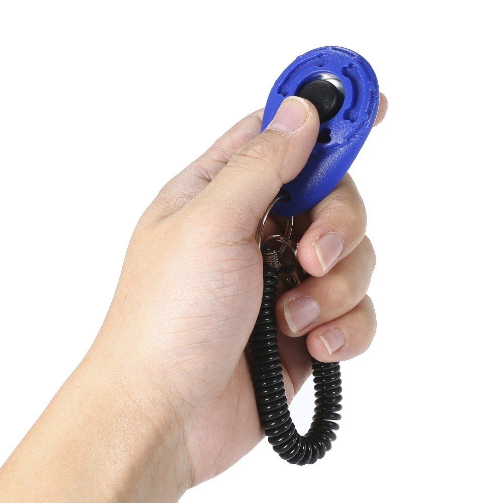 4pcs/set Dog Training Clicker With Elastic Spiral Wrist Band