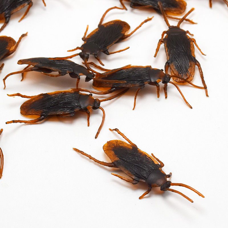 10pcs Funny Toys Special Lifelike Realistic Model Simulation Fake Rubber Cockroach