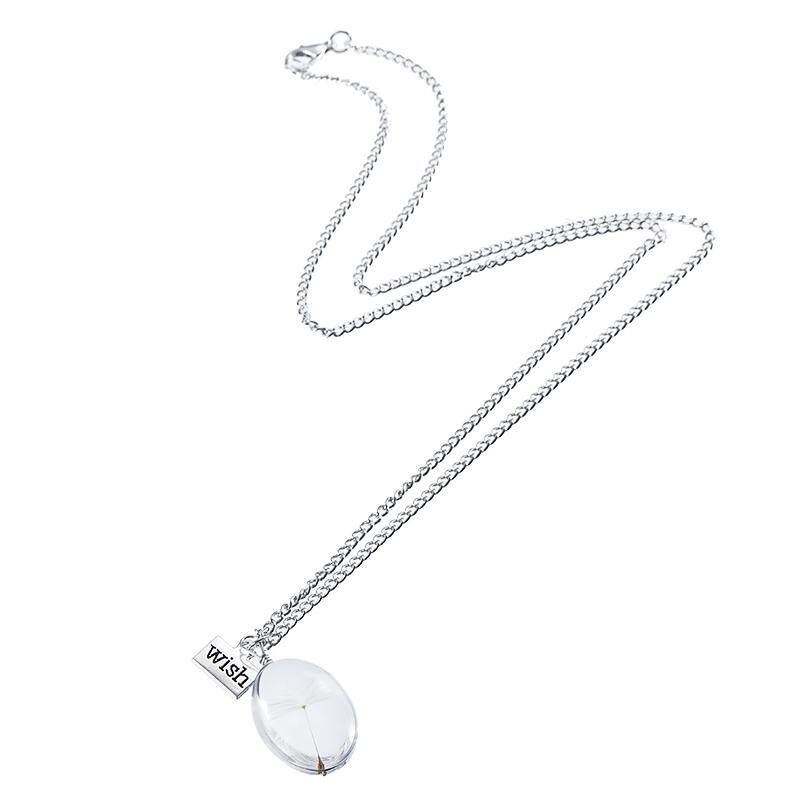 Time Gem Crystal Ball Real Dandelion Flower Wishing Pendant Necklace Silver Chain