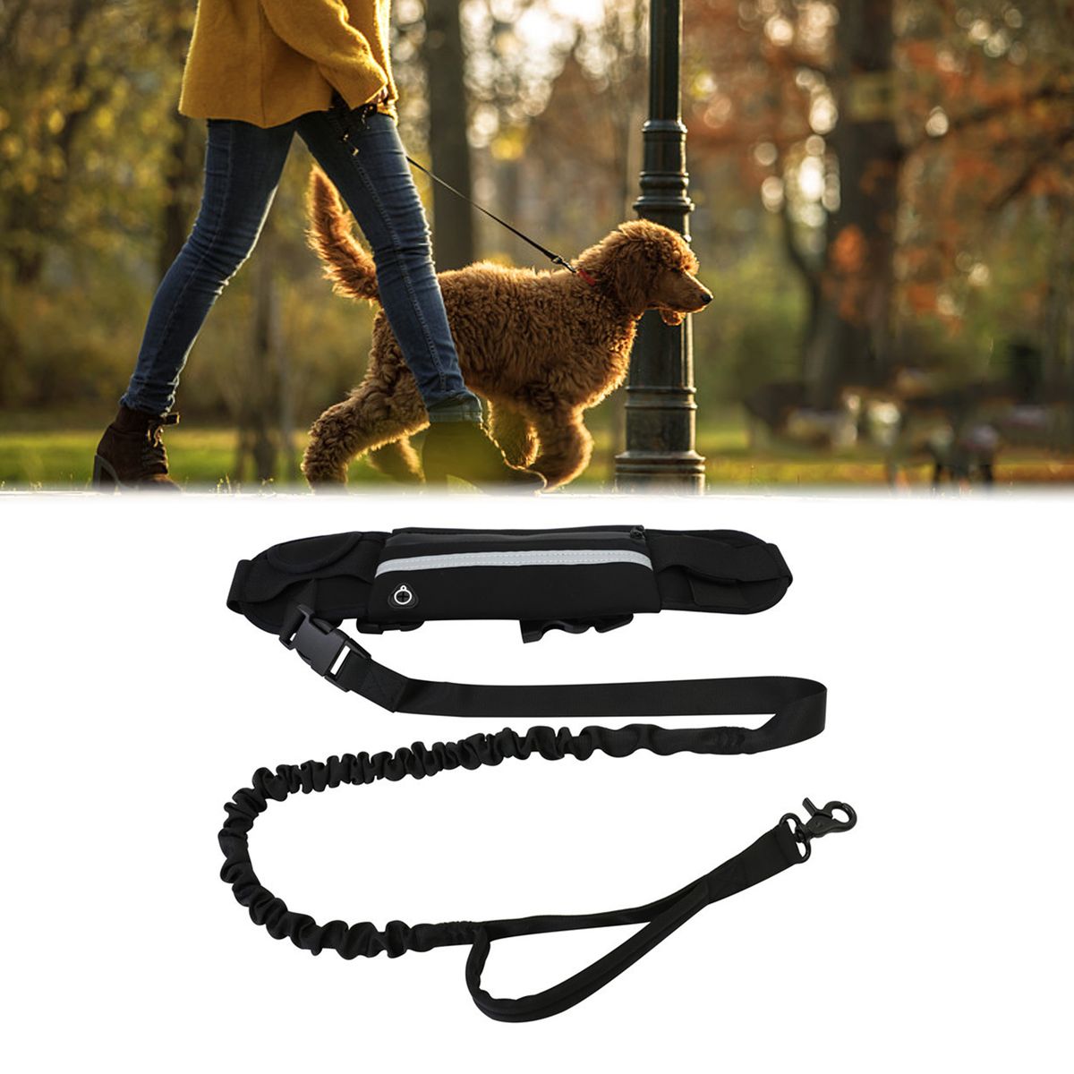 Adjustable Waist Belt Hands Free Dog Leash For Running