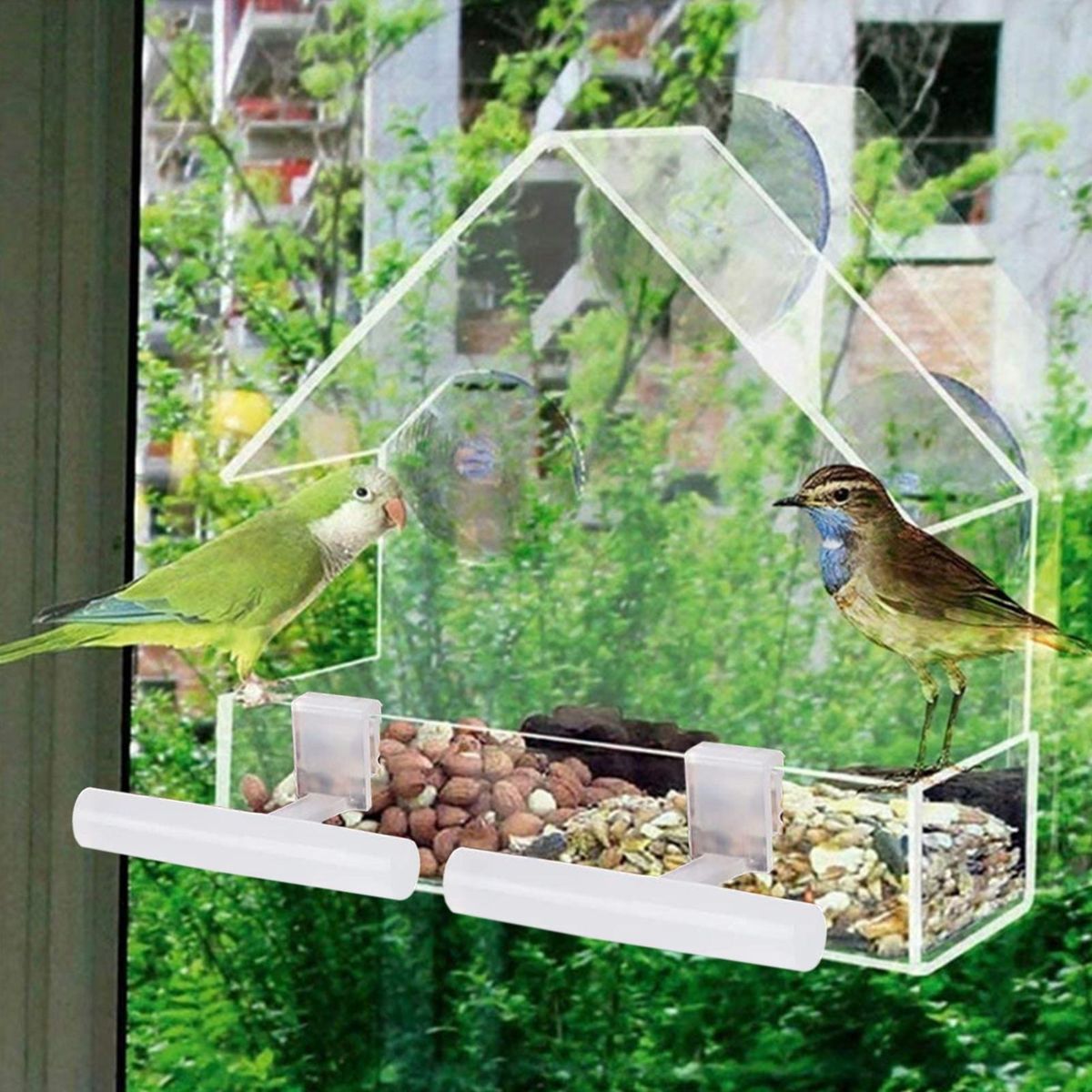 Bird Food Container Wall Mounted Bird Feeding Box Clear