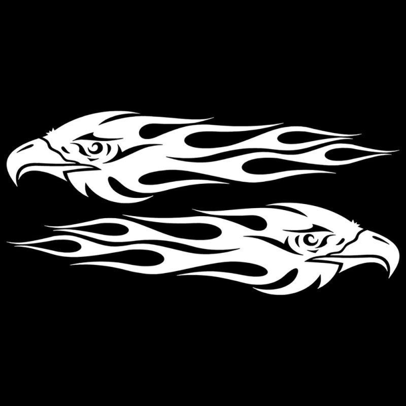 1 Pair Eagle Eye Auto Car Styling Sticker Vehicle Body-Black