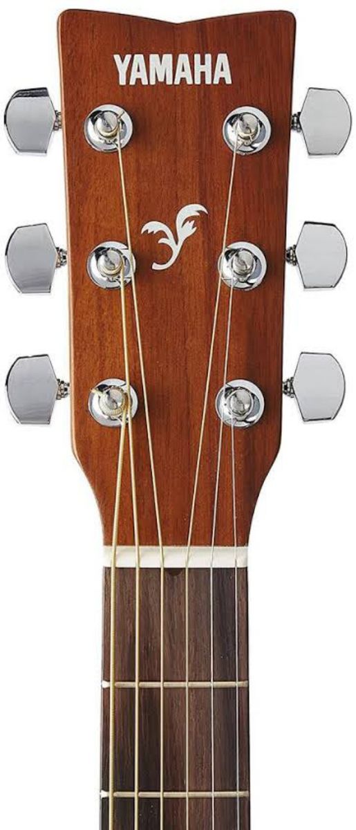 F-310 Full Size Acoustic Guitar