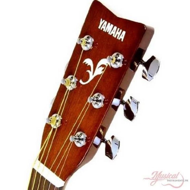 F-310  Full Sized Acoustic Guitar With Bag And Strap