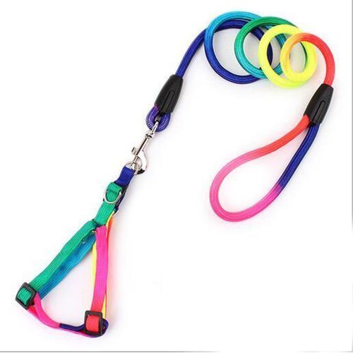 Rainbow Colored Woven Dog/Puppy Training Leash