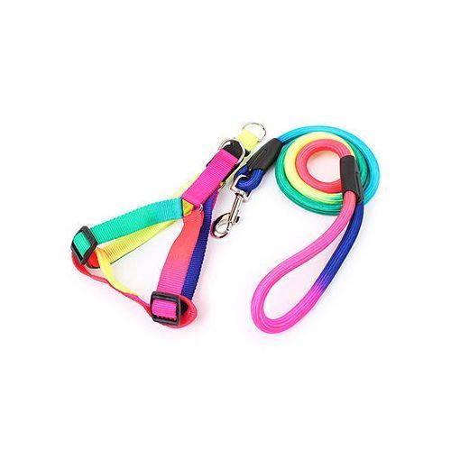 Rainbow Colored Woven Dog/Puppy Training Leash