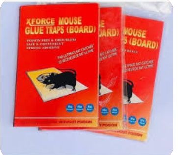 3 Pieces Rat Gum /Killer