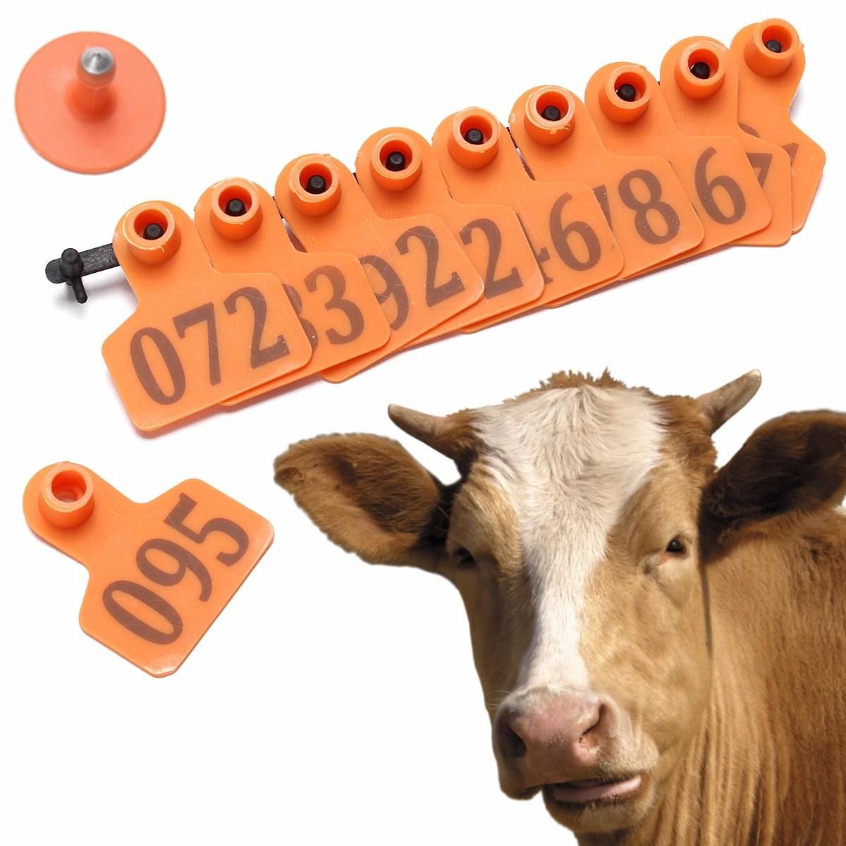 Livestock Cattle Goat Sheep Pig Animal Cow Ear Tags ID Lables Tag 1-100Pc Number