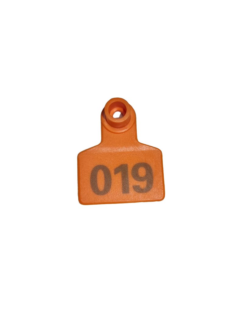 ANIMAL EAR TAG - ORANGE