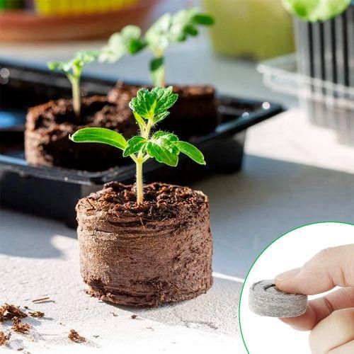 Nutrient Block Seeds Nursery Pots Peat Pellets