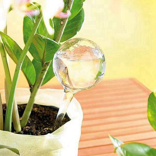 11Pcs Clear Automatic Watering Bulbs Watering