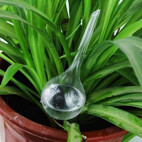 11Pcs Clear Automatic Watering Bulbs Watering