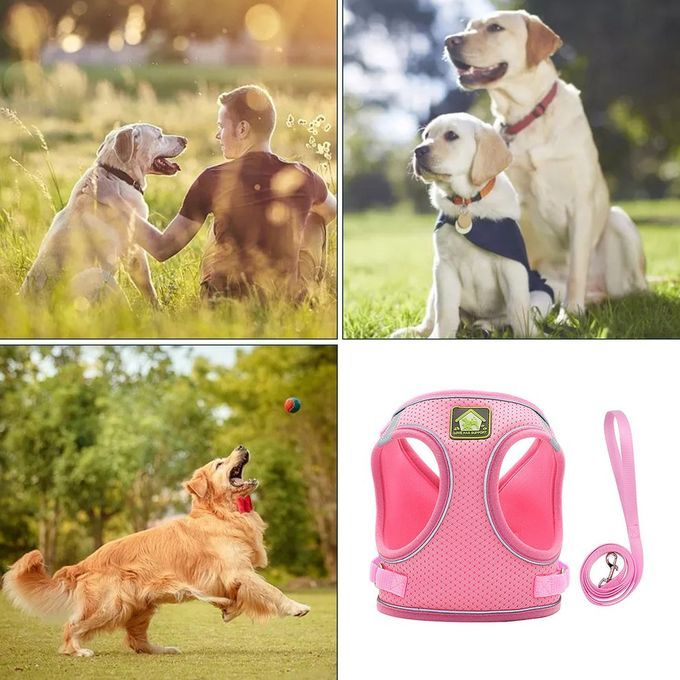 Nylon Mesh  At Harness Refle Tive Dog Vest Harness & Leash Set For Walking-pink-L