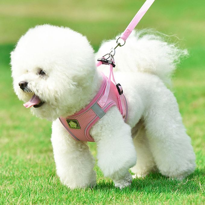 Nylon Mesh  At Harness Refle Tive Dog Vest Harness & Leash Set For Walking-pink-L