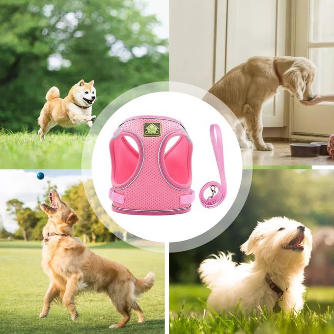 Nylon Mesh  At Harness Refle Tive Dog Vest Harness & Leash Set For Walking-pink-L