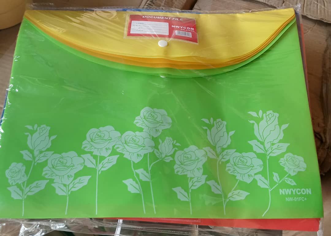 12pcs -Plastic Transparent Document Folder, Waterproof