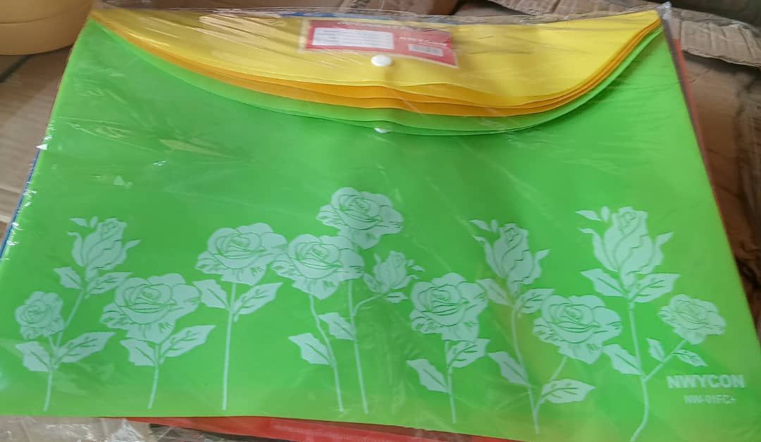 12pcs -Plastic Transparent Document Folder, Waterproof