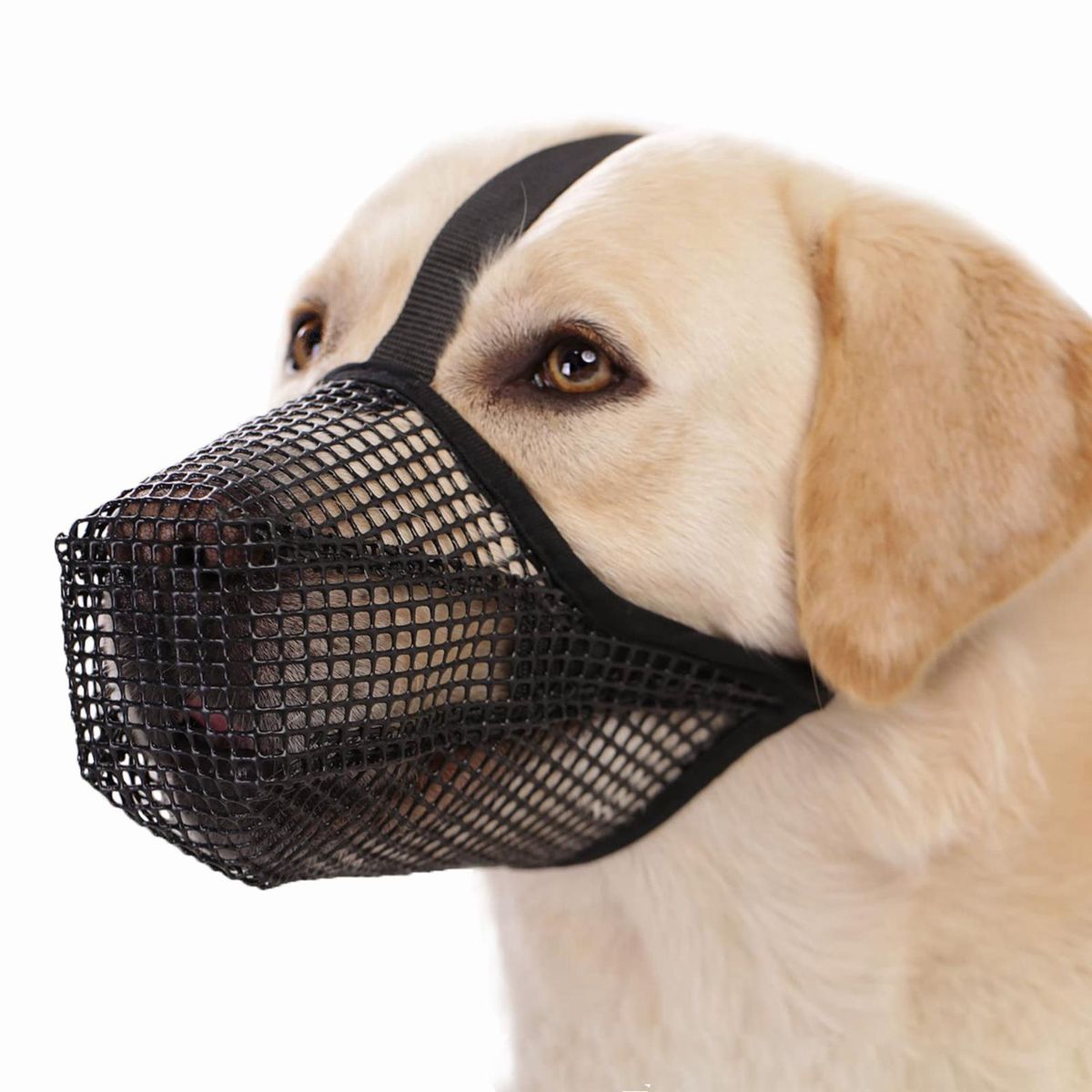 Dog Mouth Guard Pet Dog Anti-eating Face Cover Black