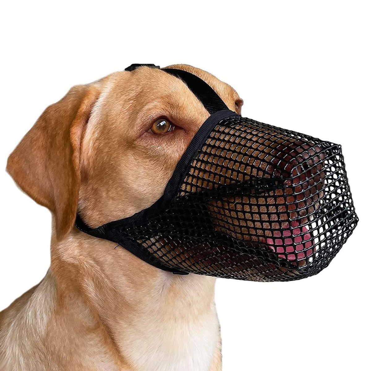 Dog Mouth Guard Pet Dog Anti-eating Face Cover Black