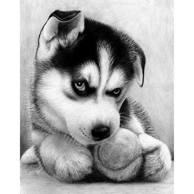 Diy 5D Diamond Painting Kit Huskie Pattern