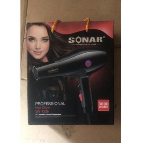 Professional Hair Dryer