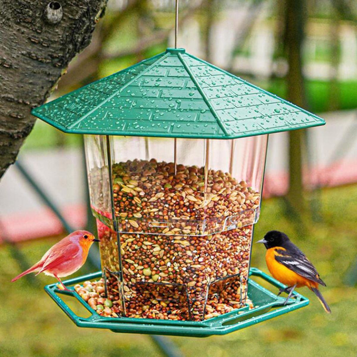 Bird Food Feeder Hanging Hummingbird Food Holder Green