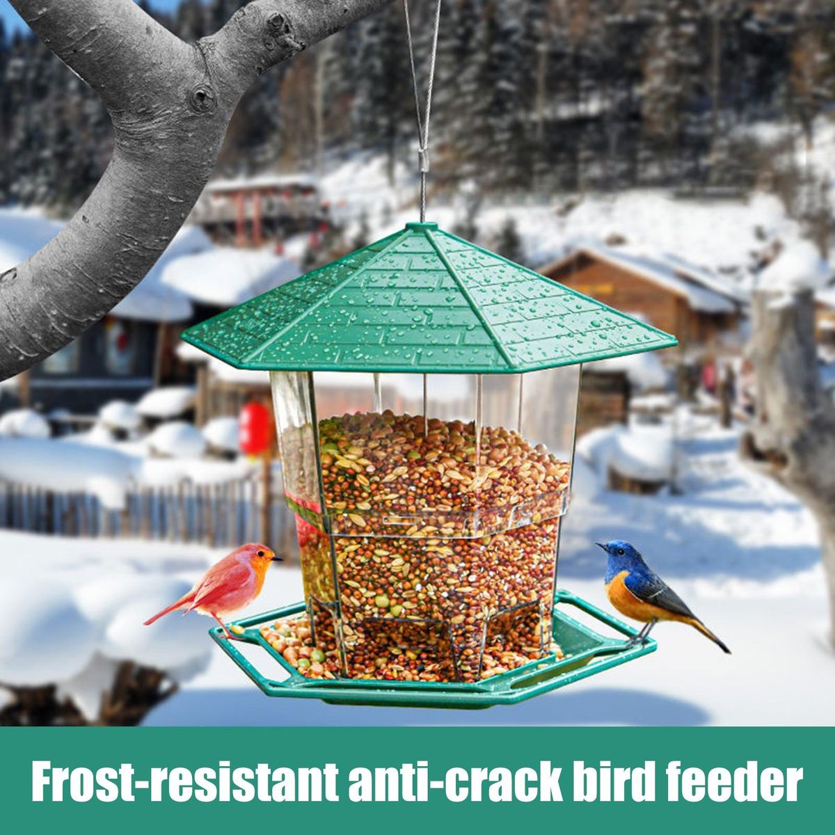 Bird Food Feeder Hanging Hummingbird Food Holder Green