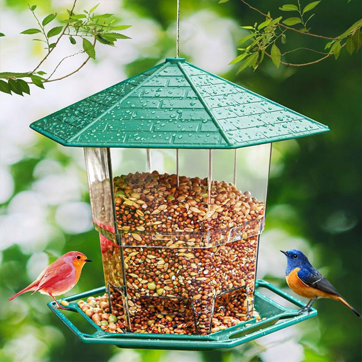 Bird Food Feeder Hanging Hummingbird Food Holder Green