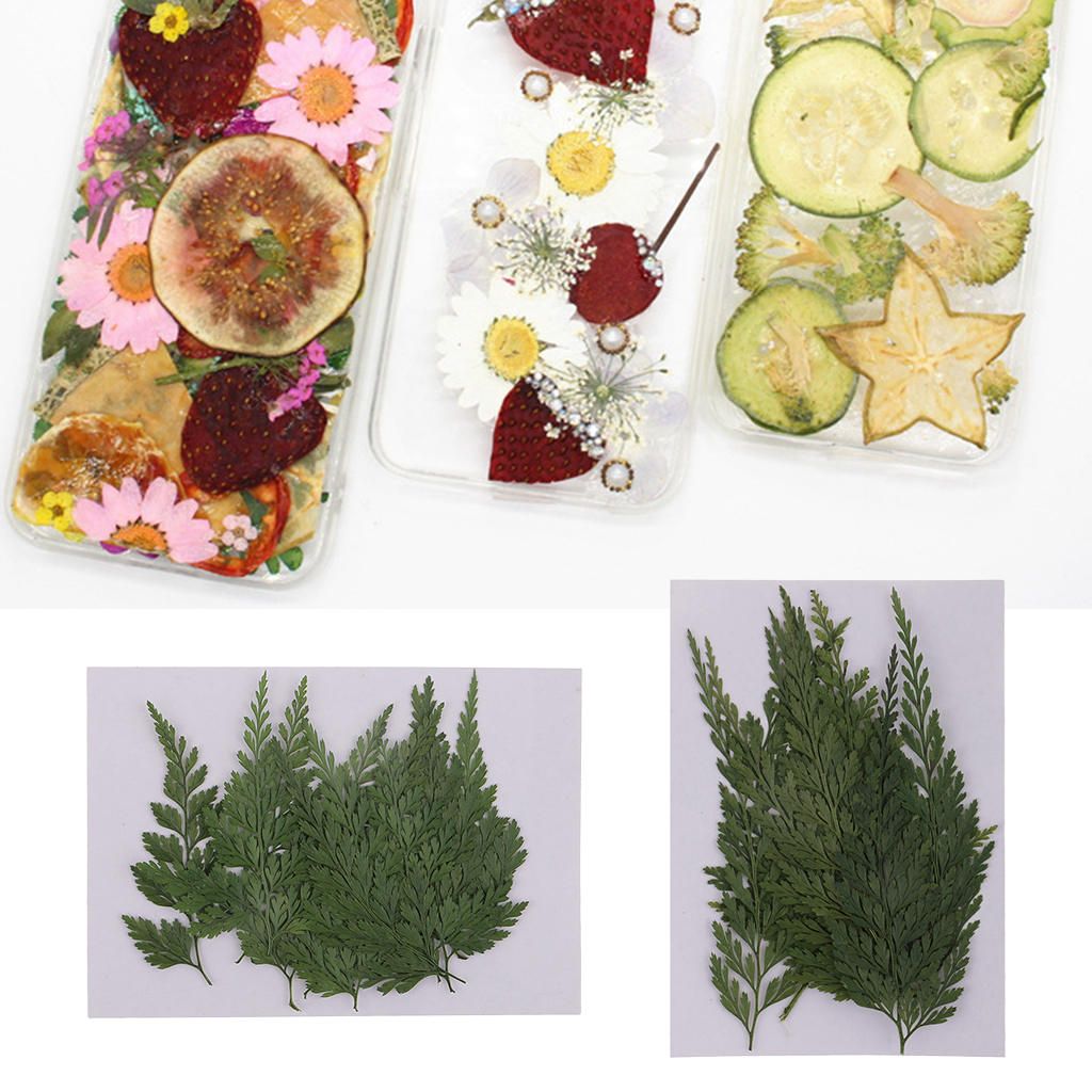 12 Real Pressed Dried Flower Leaves For Epoxy Resin Jewelry Making