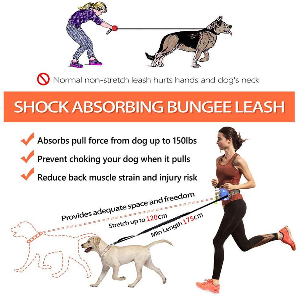 Dog Training Waist Bag Hands Free Dog Bungee Leash Set-Blue