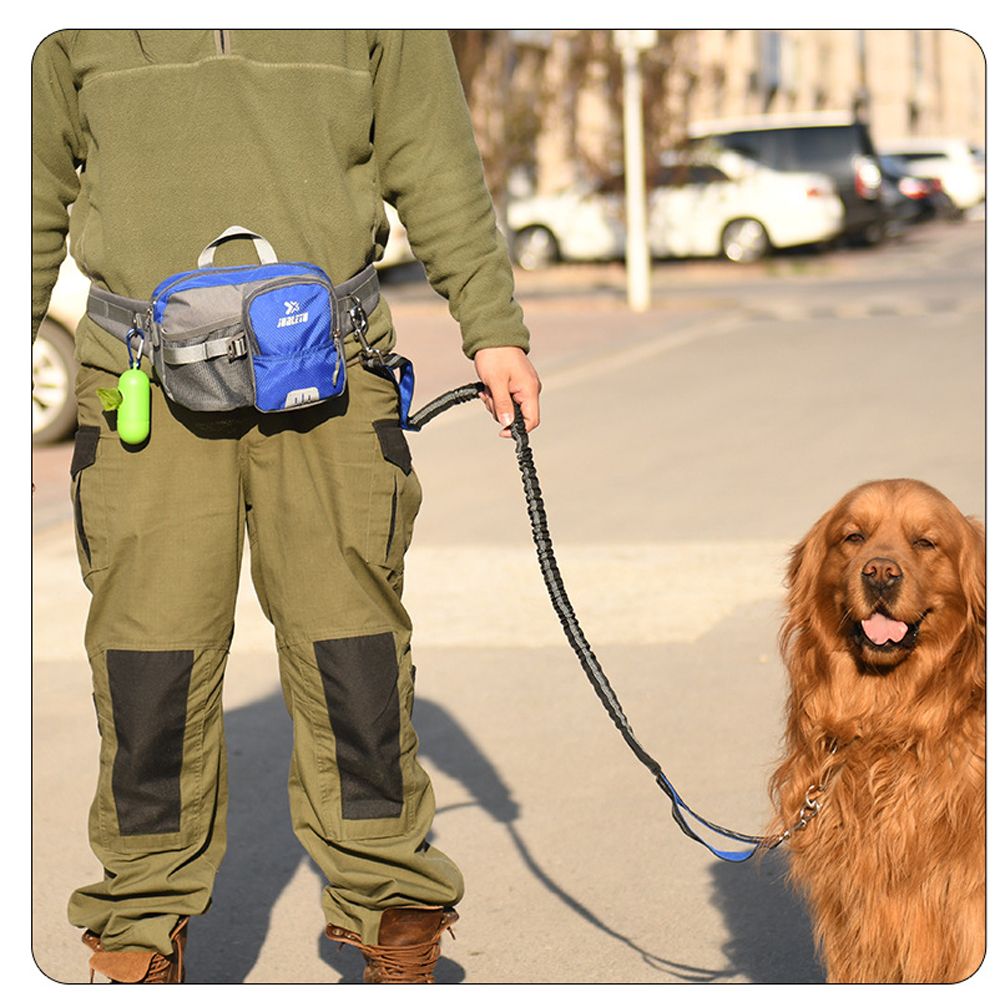 Dog Training Waist Bag Hands Free Dog Bungee Leash Set-Blue