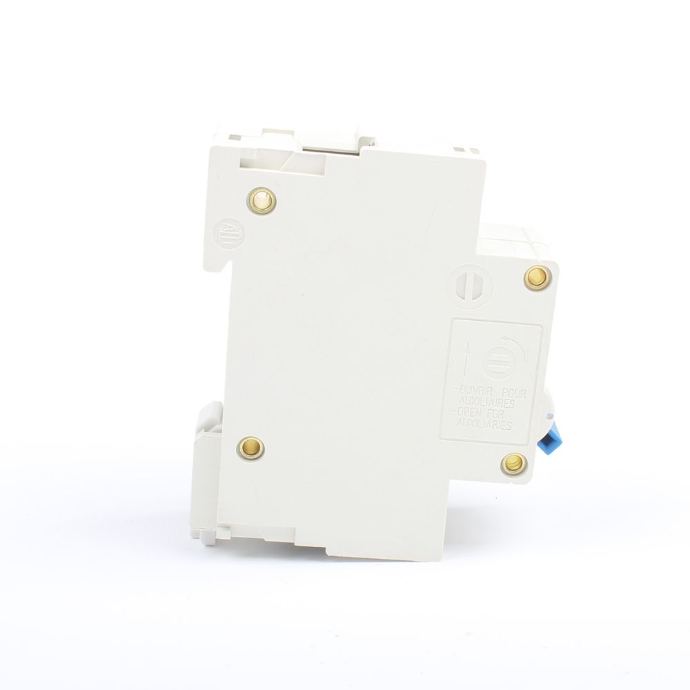 100A AC Mini Circuit Or 63A 400V 1P DZ47-100H 80A 230V