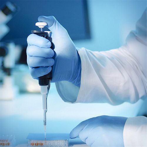 100Pcs A Grade Disposable Blue Nitrile Gloves