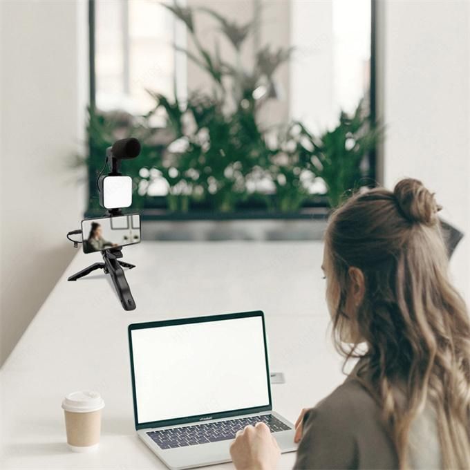 Selfie Stick Vlog Kit with LED Video Light Microphone Tripod