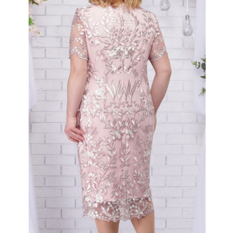 3256 L-5XL Lace Gown Round Neck Plus Size Party Dress Pink