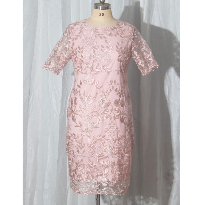 3256 L-5XL Lace Gown Round Neck Plus Size Party Dress Pink