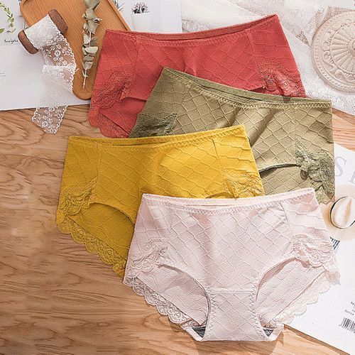 Women Sexy Lace Soft Breathable Stretchy Cotton Underwear Briefs-Ginger