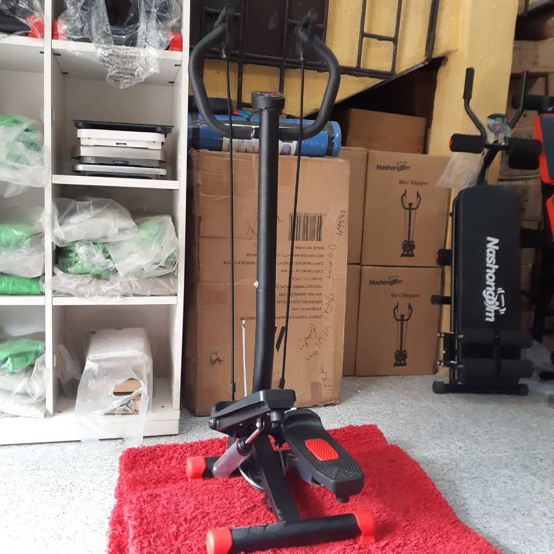 Standing Fitness Stepper With Handle And Two Resistant Band