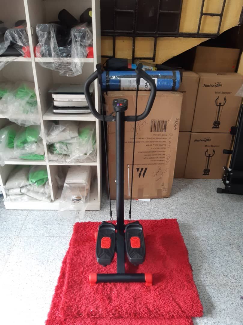 Standing Fitness Stepper With Handle And Two Resistant Band